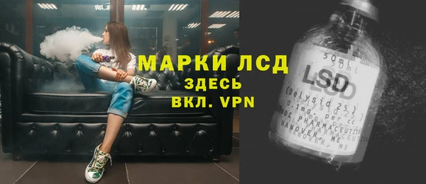 крисы Дмитров