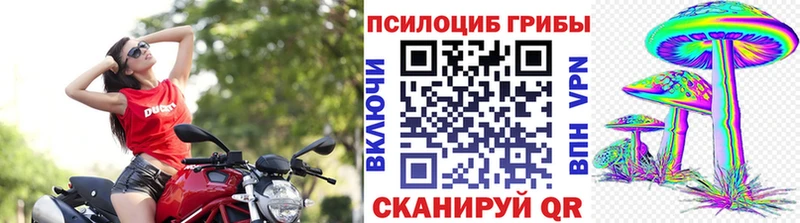 Псилоцибиновые грибы ЛСД  Купить где  Исилькуль 